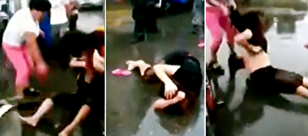 (사진=라이브리크)