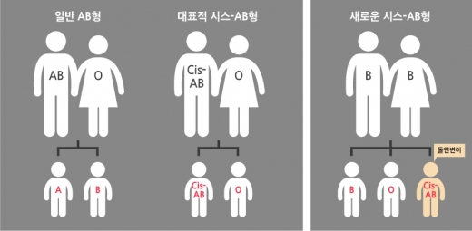 ▲‘시스-AB(cis-AB)’ 개념도(사진=삼성서울병원)