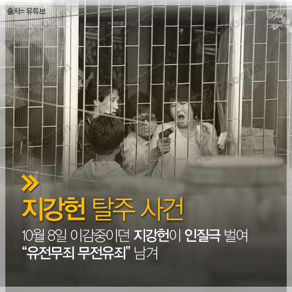 [카드뉴스 팡팡] '응답하라 1988' 예습하고 보면 꿀잼!