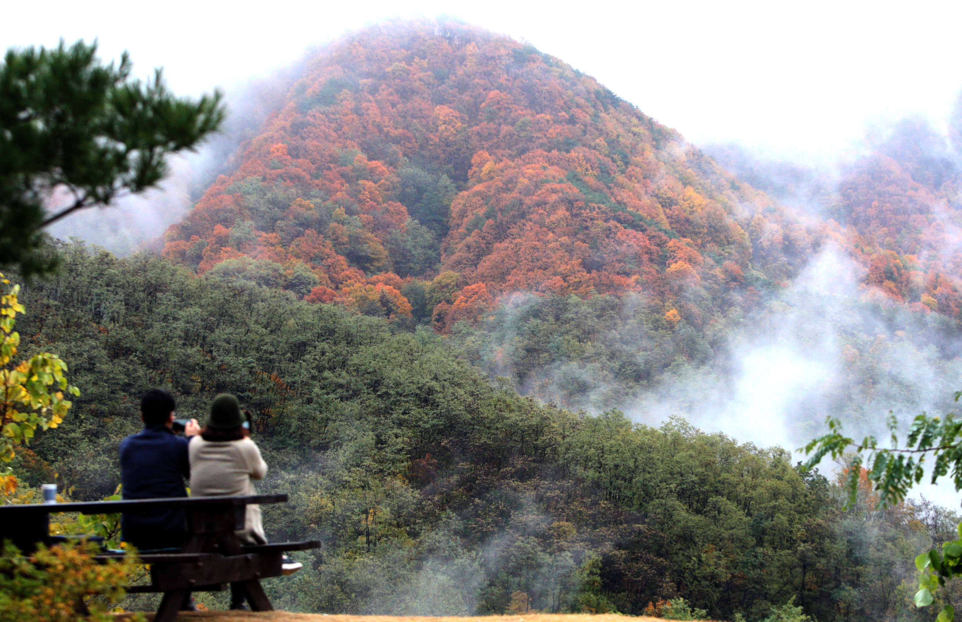▲입동인 8일 많은 비가 내린뒤 운무가 낀 청주 상당산성을 시민들이 바라보고 있다.(사진=연합뉴스)