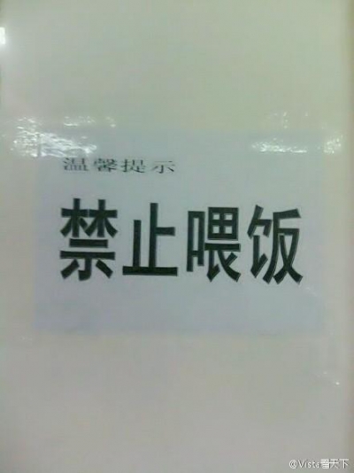 ▲11월11일 중국 솔로데이 '광쿤제'를 맞이해 &quot;이성 간 밥 먹여주기 금지' 조치를 내린 중국 지린건축대학. 사진=중국웨이보