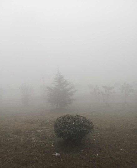 ▲중국 시안에서 30일(현지시간) 아침 짙은 안개가 끼어있다. 출처=중국웨이보