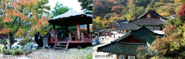 ▲용문사공원 정자, 용문산과 용문사. (왼쪽부터)