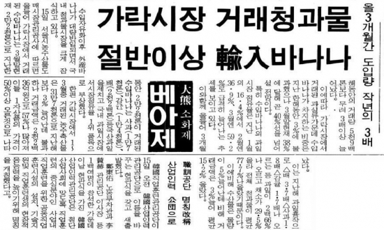 ▲바나나 수입 파동 기사을 다룬 1991년 4월 15일자 매일경제(출처=매일경제 )