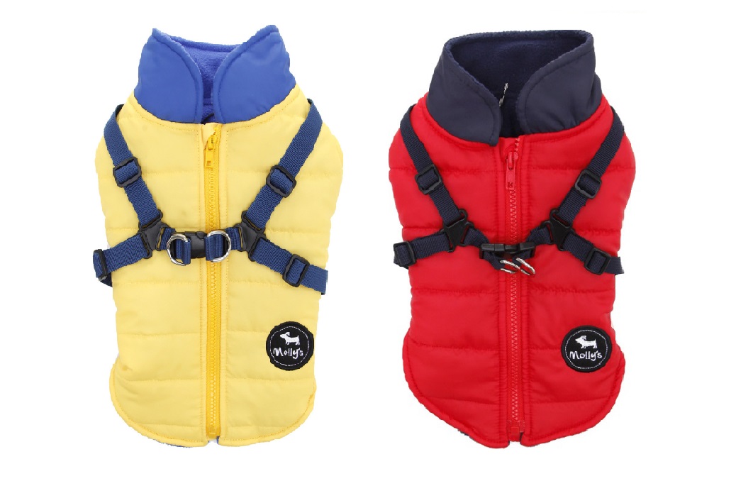 (사진제공=이마트)