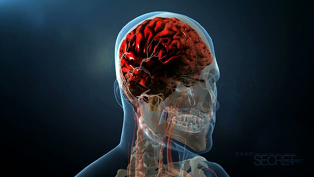 (출처=KBS '생로병사의 비밀' 캡처)