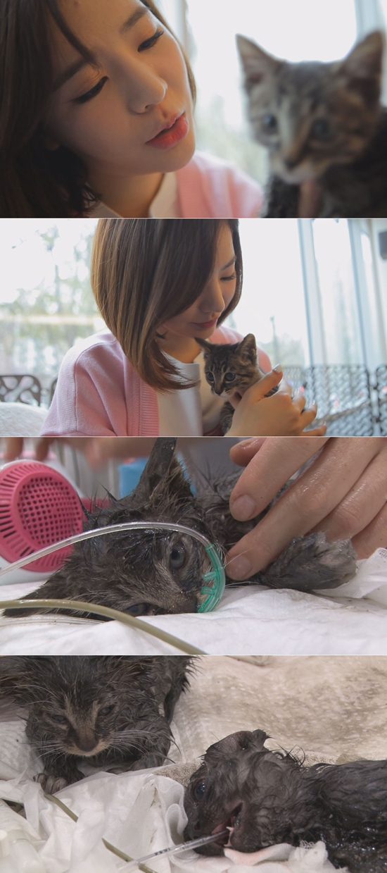 (사진=SBS '동물농장' 캡처)