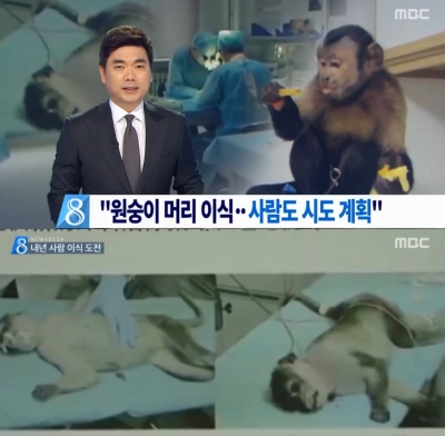 (사진=MBC 뉴스 캡쳐)