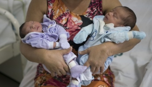 ▲브라질의 한 할머니가 이란성 쌍둥이 손녀와 손자를 안고 있다. 왼쪽 손녀는 소두증을 안고 태어났고 오른쪽 손자는 정상이다. 아이들의 어머니는 지카 바이러스에 감염된 것으로 전해진다. (AP/뉴시스)