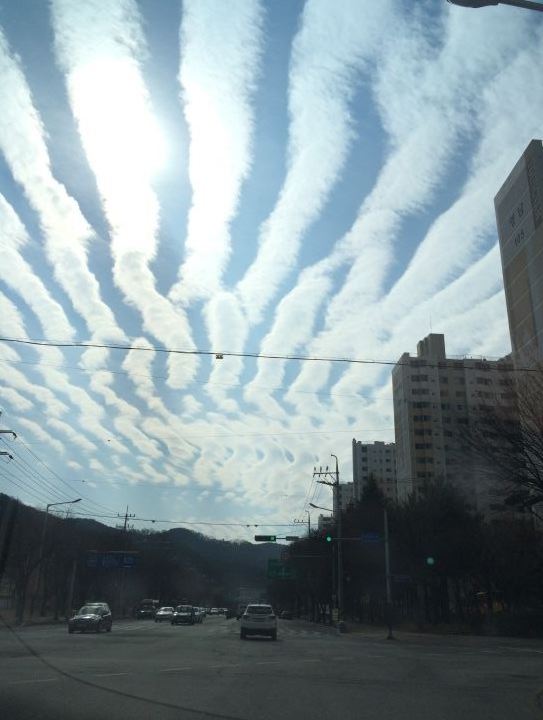 ▲8일 대구광역시 북구에서 관측된 지진운으로 보이는 구름(출처=클리앙 아이디 '푸른별들')