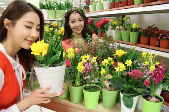 ▲이마트는 오는 30일까지 다양한 꽃을 저렴하게 만나볼 수 있는 봄맞이 ‘플라워 대전’을 진행한다.  