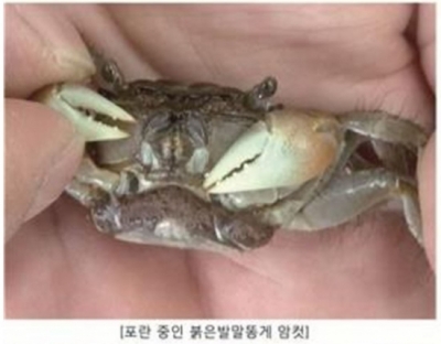 (해양수산부)