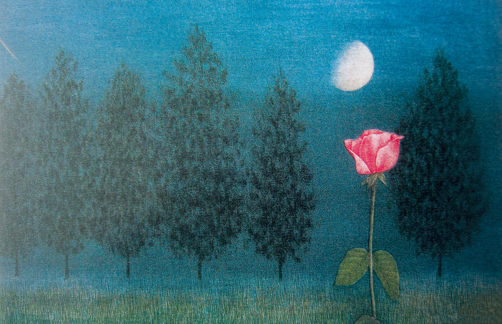 ▲황규백 Rose 27.5cm x 17.5cm 종이에 동판화(메조틴트). 1987년.(송유재)