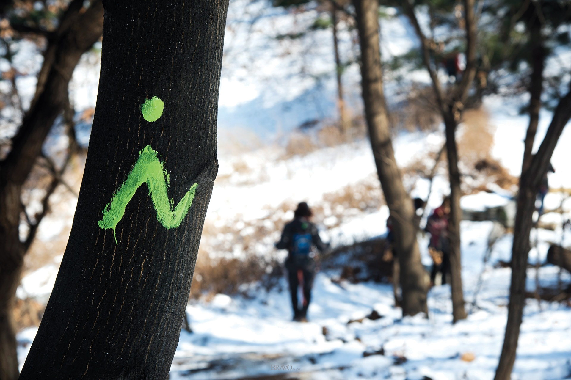 ▲지난 3월 1일, 아름다운 도보여행 회원들은 삼남길 서울구간 우면산 코스에 길 표시 작업을 했다.