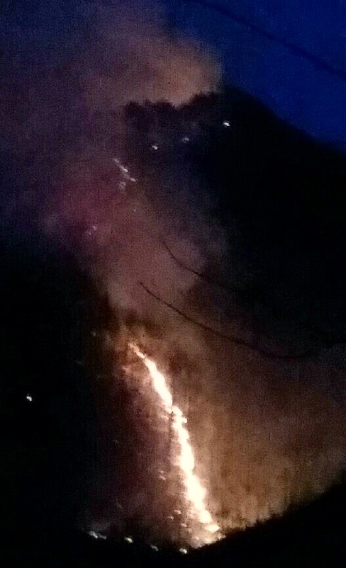 ▲1일 오후 6시16분께 충북 단양군 단양읍 천동리 소백산 중턱에서 산불이 발생했다. 이 불은 3일 새벽 다시 번진 이후 44시간 만에 진화됐다. (뉴시스)