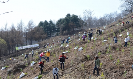 ▲유한킴벌리 공존숲. 직원들이 나무를 심고 있다.(사진제공=유한킴벌리)