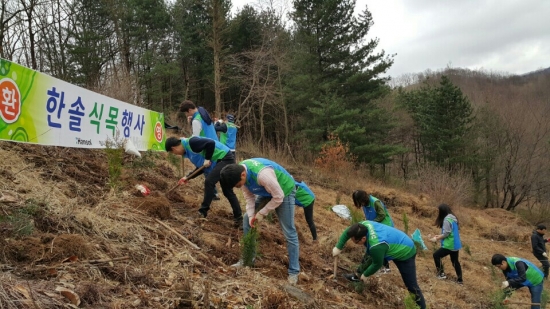 ▲한솔제지 임직원들이 5일 전북 진안 조림지에서 소나무를 심고 있다.(사진=한솔제지)