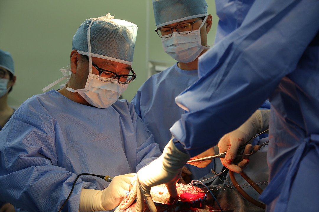 ▲이식수술을 집도한 권정택 교수의 수술 모습. (중앙대학교병원)