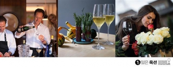 ▲옥션은 ‘리델’과 제휴해 ‘이달의 브랜드’로 와인 글라스를 내놓았다. 사진제공 옥션  
