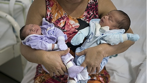 ▲브라질 헤시페주에서 한 할머니가 쌍둥이 손녀와 손자를 안고 있다. 왼쪽이 소두증을 지닌 쌍둥이 여동생, 오른쪽이 정상으로 태어난 쌍둥이 오빠다. 
(AP/뉴시스)