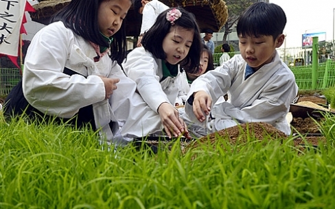 ▲옛부터 논에 못자리를 해온 곡우(穀雨) 절기를 하루 앞둔 19일 오전 서울 중구 농업박물관 야외농원에서 어린이들이 모판 만들기 체험을 하고 있다. (뉴시스)