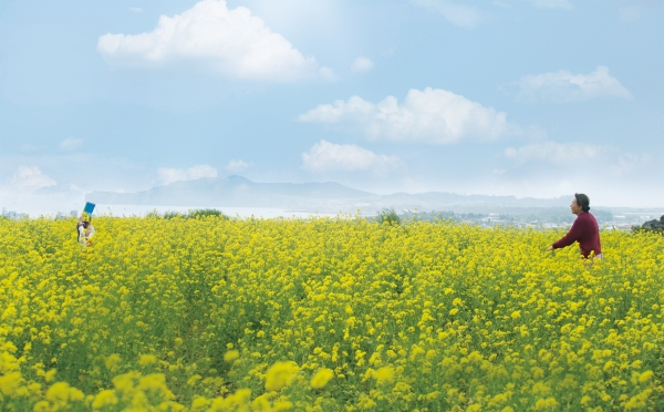 ▲'계춘할망' 스틸사진(사진=콘텐츠 난다긴다 제공)