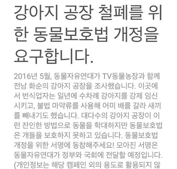 ▲배우 송혜교가 강아지 공장 철폐를 위한 서명운동에 동참했다.(사진=송혜교 인스타그램)