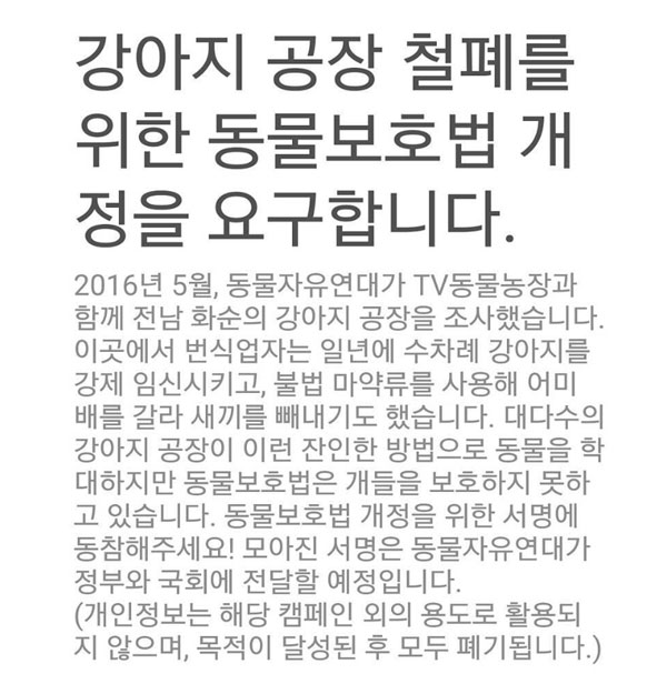 ▲'동네변호사 조들호' 배우 강소라가 강아지공장 철폐를 위한 서명운동에 나섰다.(사진=인스타그램)