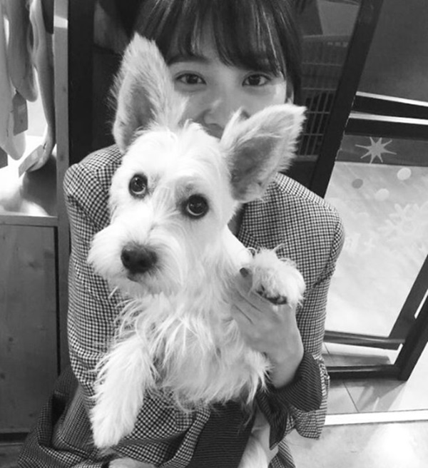 ▲배우 윤승아와 그녀의 반려견 틴틴이(사진=윤승아 인스타그램)