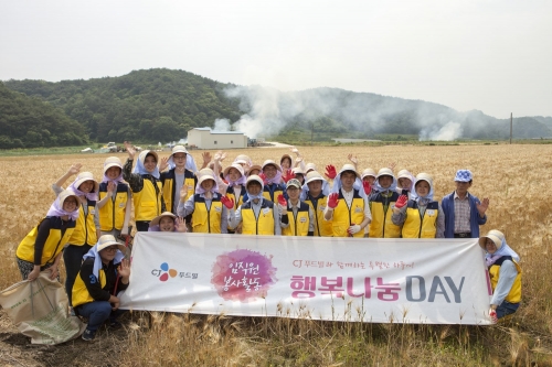 ▲CJ푸드빌 농가탐방봉사단이 경남 진주시 ‘앉은뱅이 밀’ 재배 농가를 찾아 농번기 일손돕기 봉사활동을 실시하고 포즈를 취하고 있다.(사진제공=CJ푸드빌)