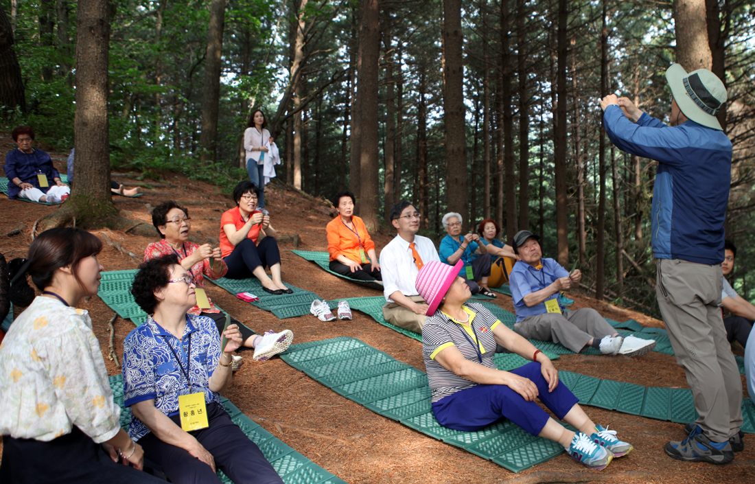 ▲힘찬병원이 진행한 힐링 여행 프로그램에서 참가자들이 숲 해설사와 함께 ‘힐링 숲 체험’을 진행하고 있는 모습.