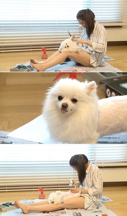 ▲'나혼자산다' 한채아(사진=MBC)