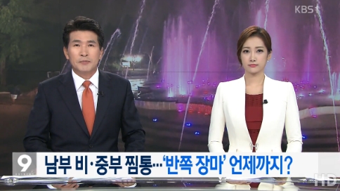 (KBS 1TV 뉴스 관련 보도 캡쳐)