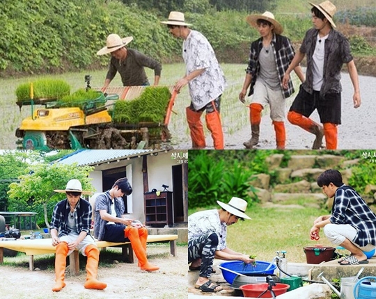 ( 사진=  tvN)