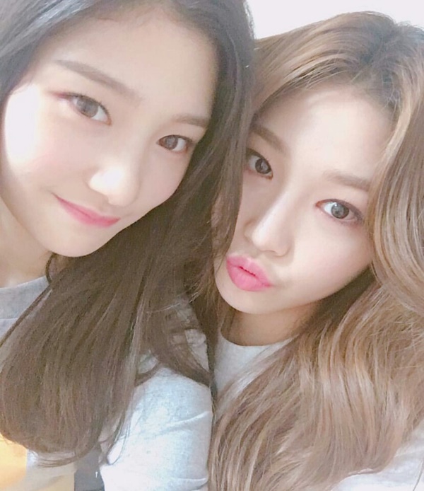 ▲정채연, 김청하(사진=정채연 인스타그램 )