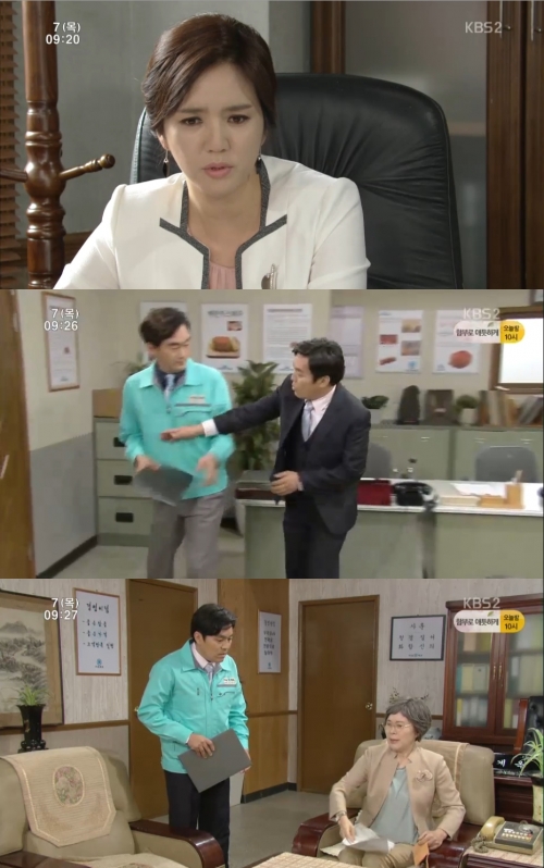 (KBS2 '내마음의꽃비')