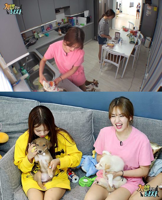 (사진=채널A '개밥 주는 남자' )