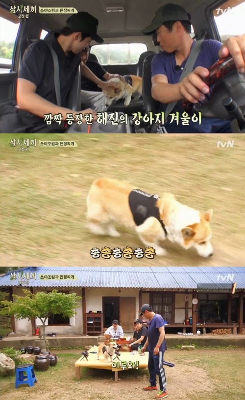 (사진=tvN '삼시세끼')