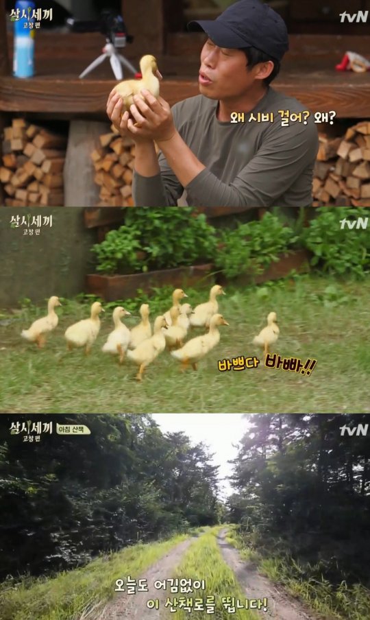 (사진=tvN '삼시세끼')
