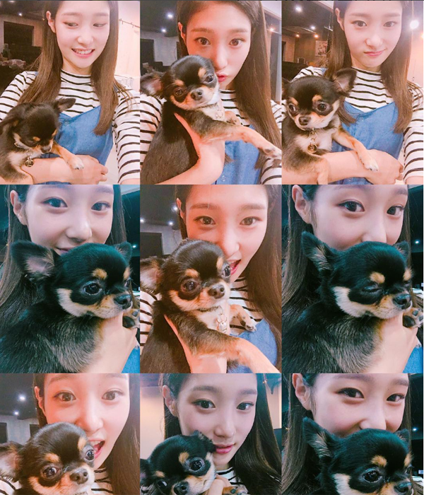 ▲다이아 정채연(사진=정채연 인스타그램)