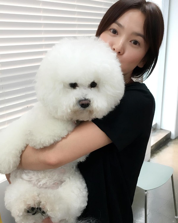 (사진=송혜교 인스타그램)