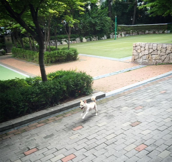 ▲'Go독한사제들' 이재윤이 격투기 편 첫 방송을 홍보했다.(사진=이재윤 인스타그램)