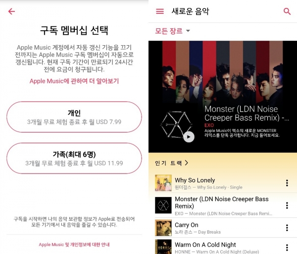 (사진=애플뮤직 모바일 앱 화면)