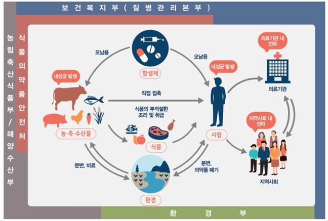 ▲항생제 내성균 발생 및 전파 경로(보건복지부)
