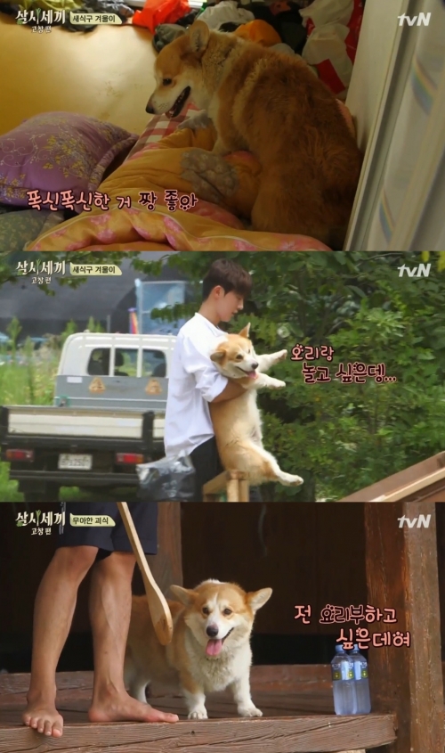 (사진=tvN '삼시세끼')