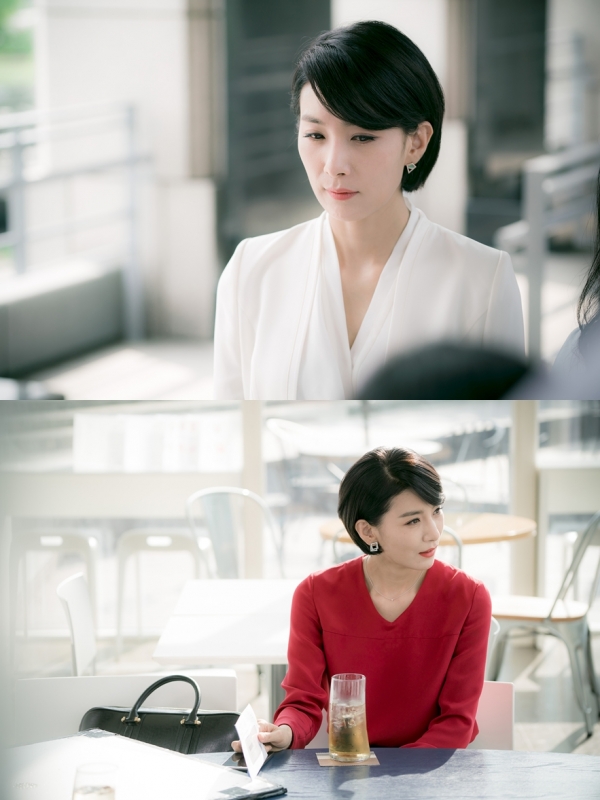 ▲'굿와이프' 김서형(사진제공 CJ E&M)