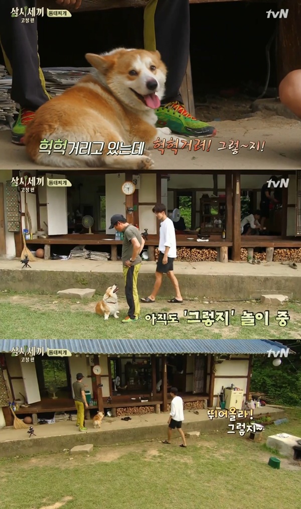 (사진=tvN '삼시세끼')