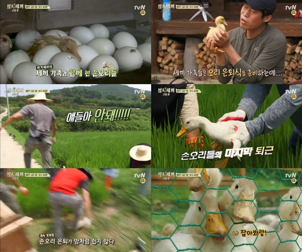 (사진=tvN '삼시세끼' 공식 페이스북)