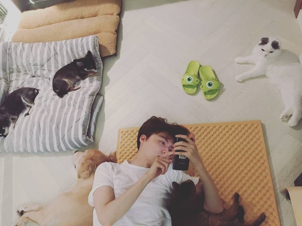 (사진=안재현 인스타그램)