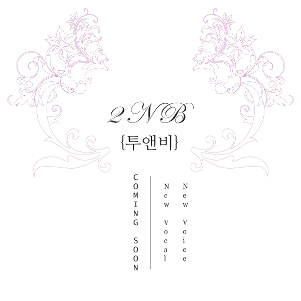 ▲여성듀오 투앤비가 멤버 교체 후 컴백을 앞두고 있다(사진=(주)도너츠컬처)